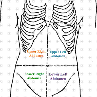 the partition of abdominal pain the partition of abdominal pain:upper left abdomen, upper right abdomen, lower left abdomen, lower right abdomen